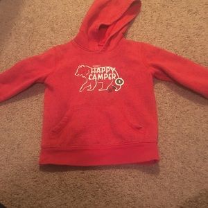Toddler boys pull over hoodie